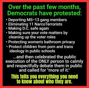 democrats protest trump.jpg