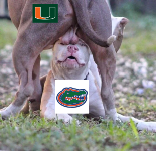 Miami_UF.png