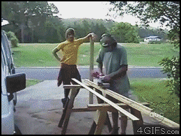 IMG_2244.gif