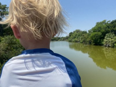 IMG_2097.jpeg