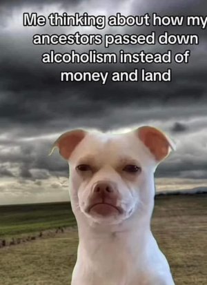 52e3987b7ef3d8465f33603487a3ca43.jpg
