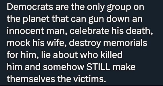 democrats always the victim.jpg