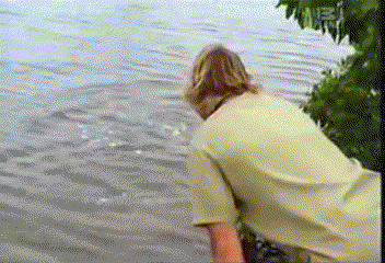 1758617120066.gif