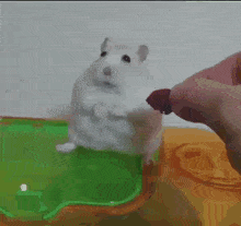 1758659997054.gif