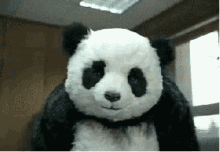 1758681722615.gif