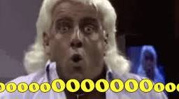 The Ric Flair Flop GIFs - Find & Share on GIPHY