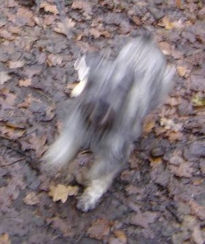 images (6).jpeg