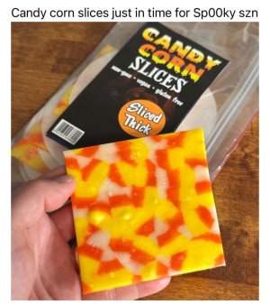 1000005705.jpg