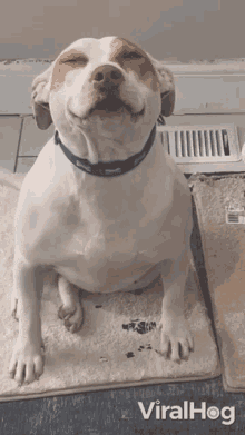 IMG_2345.gif