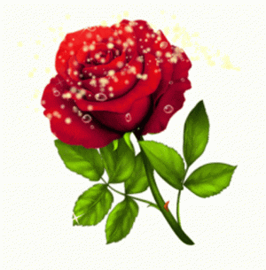 Auburn Rose.gif