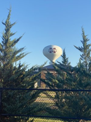 IMG_3943.jpeg