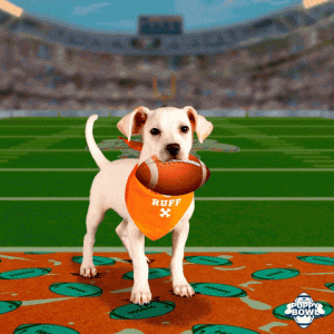 1759008683157.gif