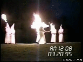 giphy-4002922202.gif