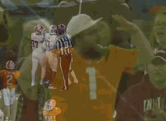 VFL Sermon.gif