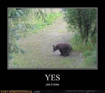 does a bear **** in the woods (1).jpg