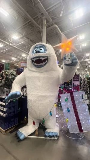 IMG_2378.jpeg