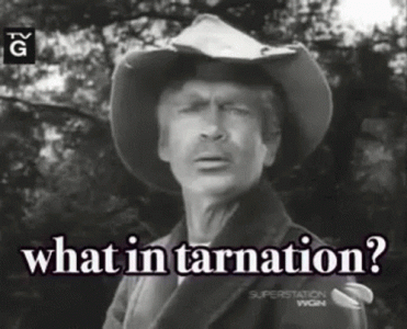 1759086927420.gif