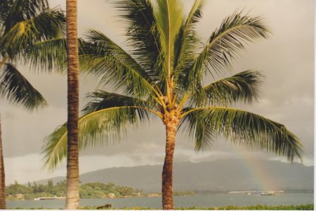 Hawaii 1989_Pearl Harbor rainbow.jpg