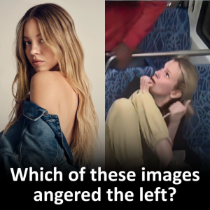 1759189079034.png