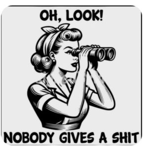 nobodygivesashit.jpg