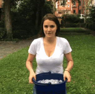 1768077867586.gif