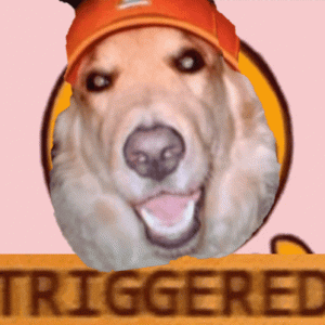20251111_094718.gif