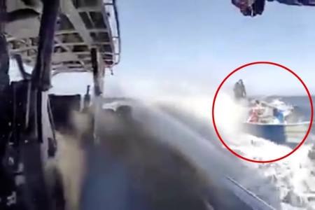 1770923813212.png 1770923813212.png