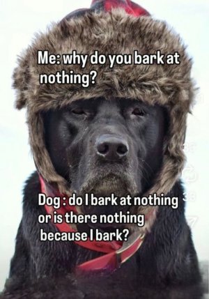 IMG_4951.jpeg IMG_4951.jpeg