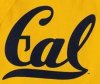 calbears.jpg