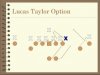 taylor-option2.jpg