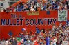 Gator Mullet country.jpg