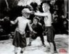 Alfalfa.jpg