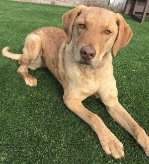 IMG_3829.jpeg IMG_3829.jpeg