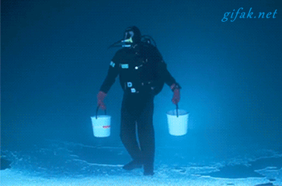 IMG_4397.gif IMG_4397.gif