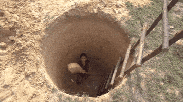 IMG_5365.gif