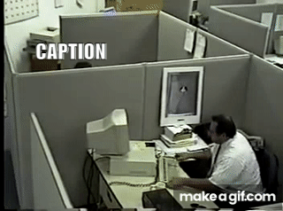 IMG_5366.gif