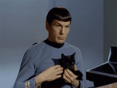 tenor-568572025.gif