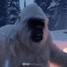 IMG_1686.gif