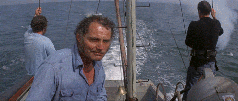 1777948123298.gif