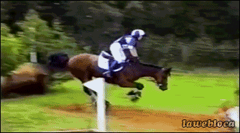 tumblr_mrlufqOgX11s02vreo1_400-2667509367.gif