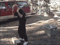6339285e836fc5d772825dabdb611a7e_w200.gif