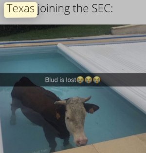 IMG_8276.jpeg
