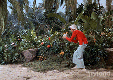source-3843845431.gif
