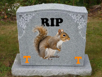 1778597866962.png