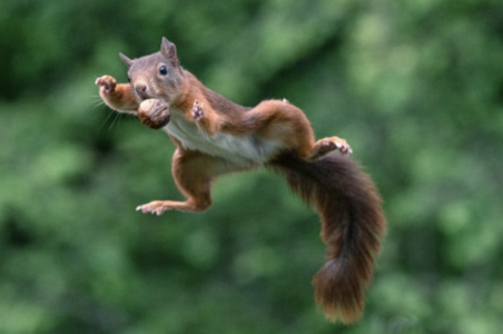 Screenshot 2026-05-12 at 12.53.39 PM.png