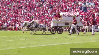 IMG_8510.gif