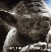 IMG_5765.gif