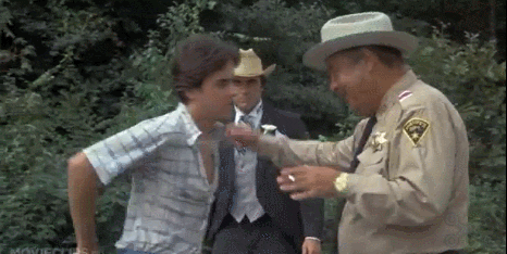 giphy (31).gif