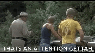 smokey-and-the-bandit.gif