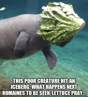 1779241650931.jpeg